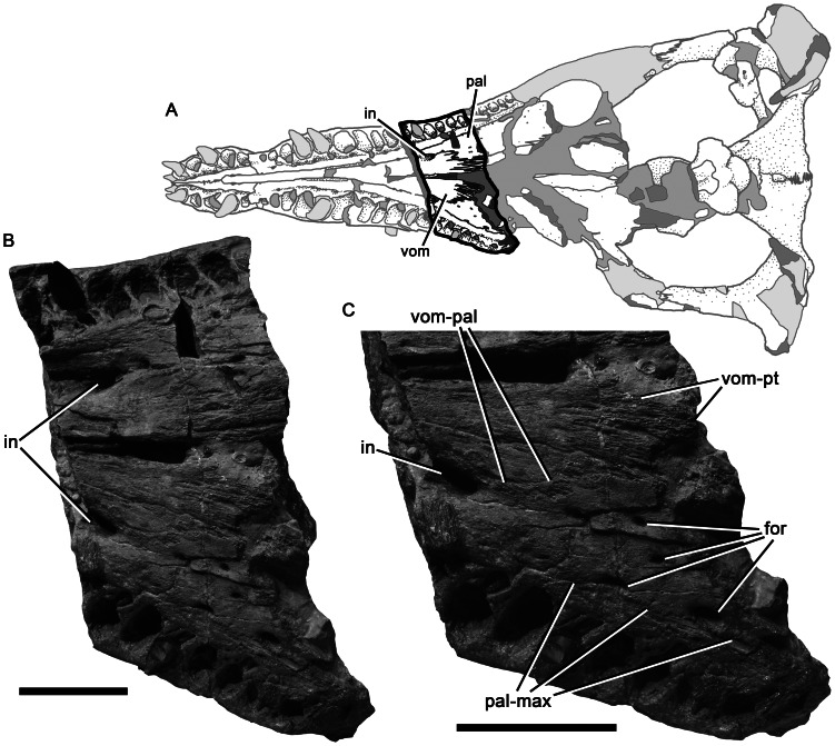 Figure 11