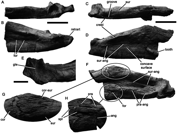 Figure 20