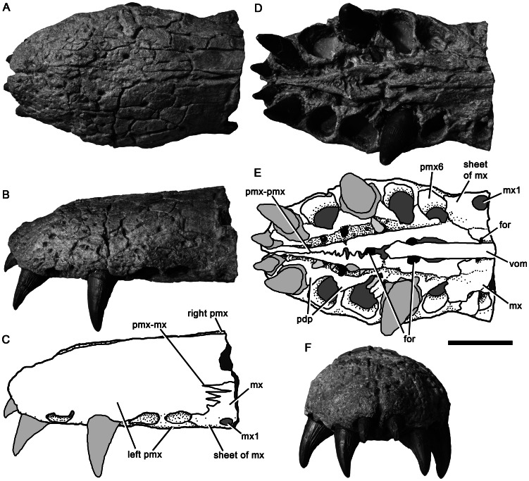 Figure 4