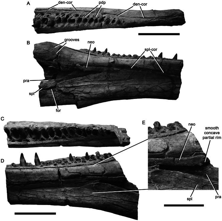 Figure 19