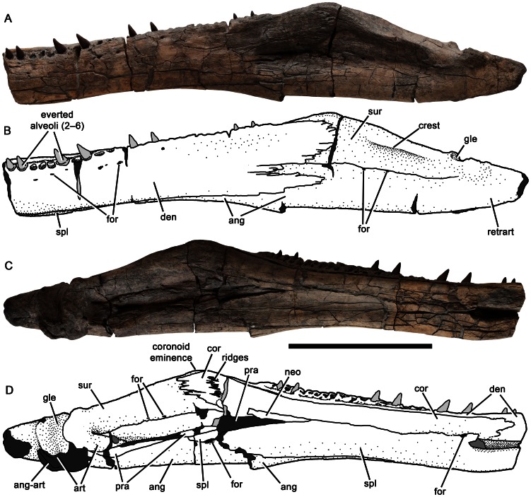 Figure 16