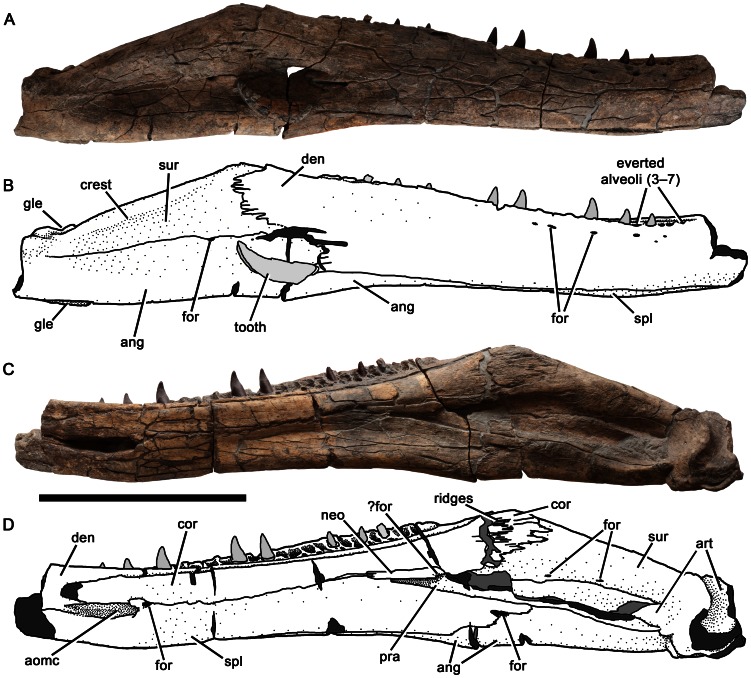 Figure 17