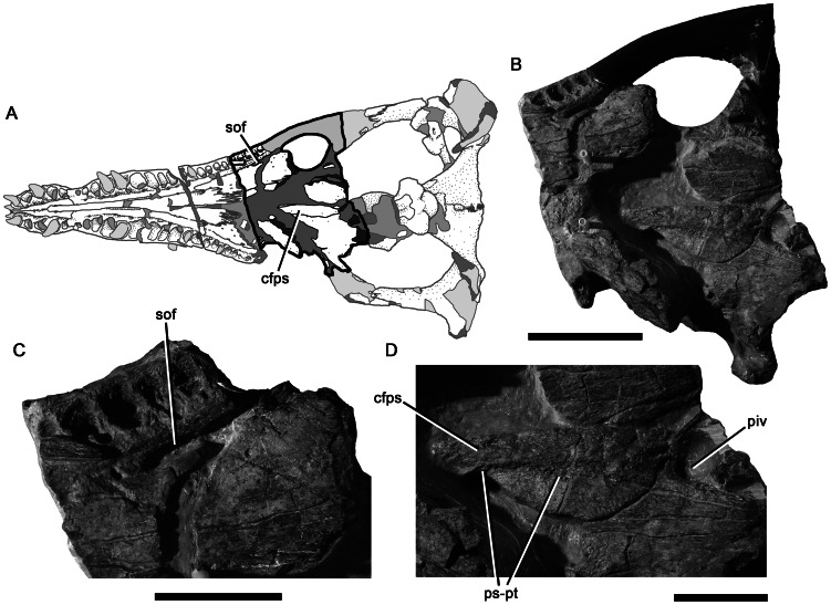 Figure 12