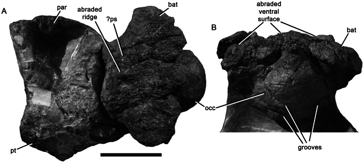 Figure 15