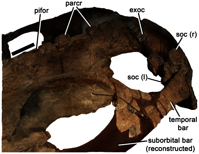 Figure 10