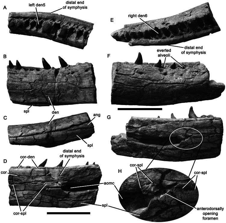 Figure 18