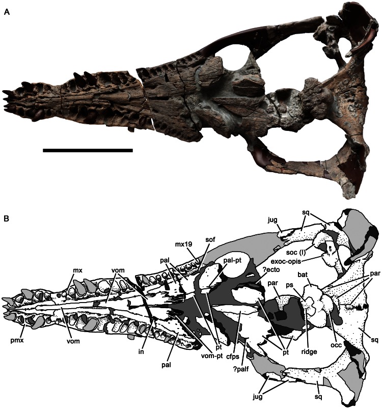 Figure 5