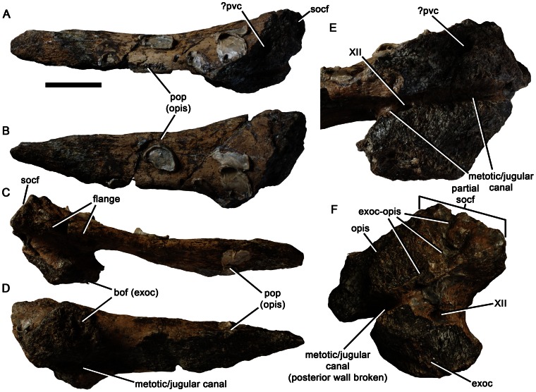 Figure 14