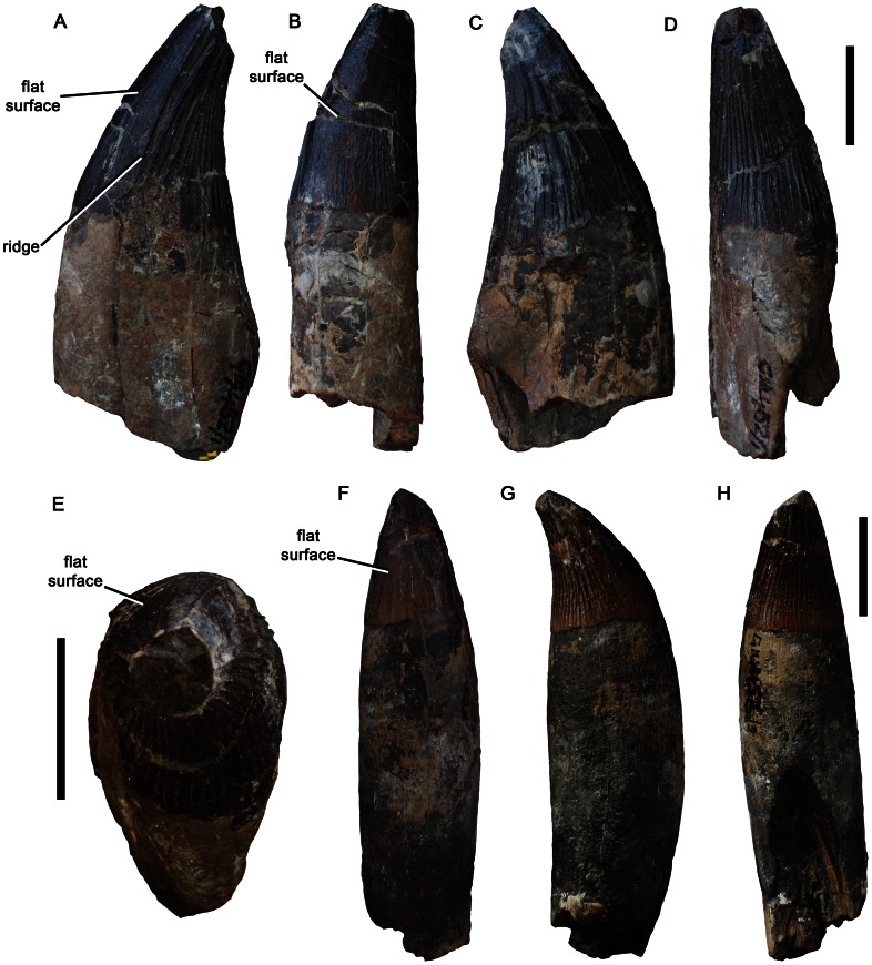 Figure 21