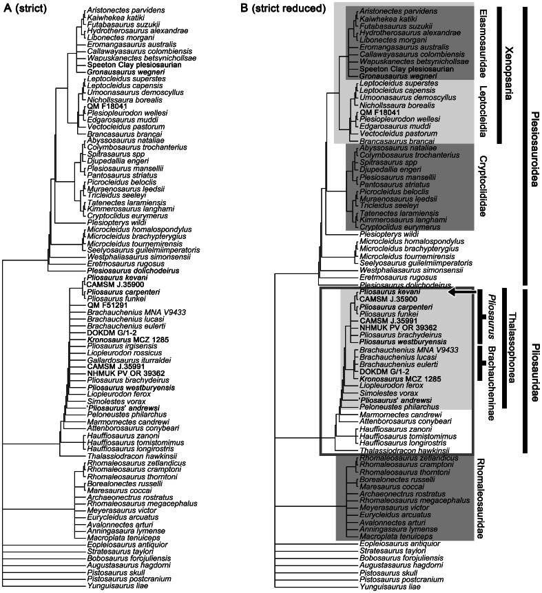 Figure 23