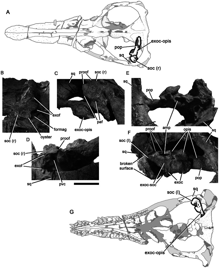 Figure 13