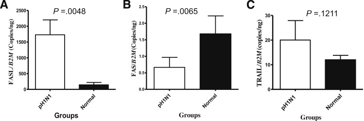 Figure 4