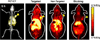 Fig. 13