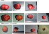 Fig. 16