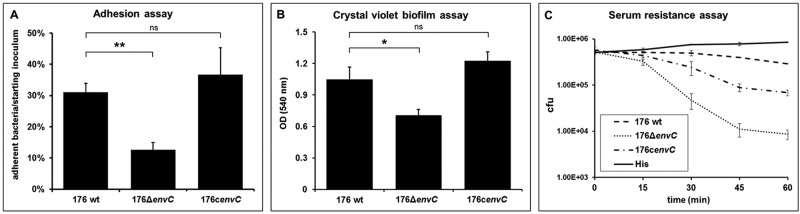 FIG 7 