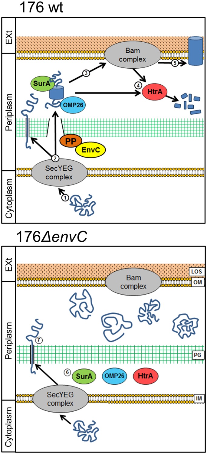 FIG 8 