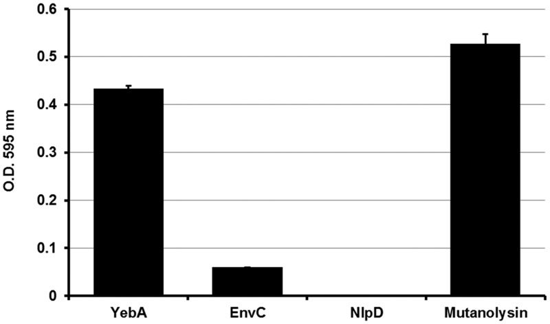 FIG 5 