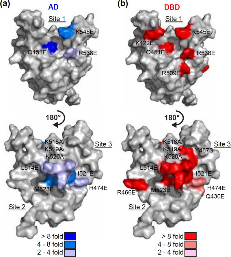 Fig. 6