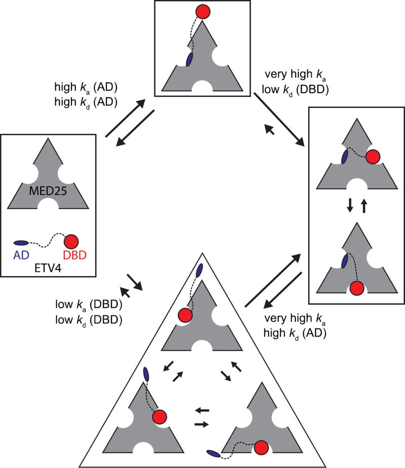 Fig. 10