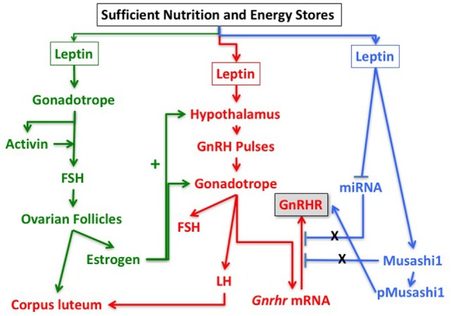 Figure 5