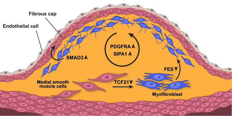 Figure 4