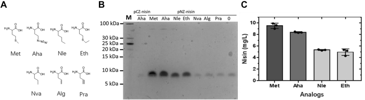 Figure 4