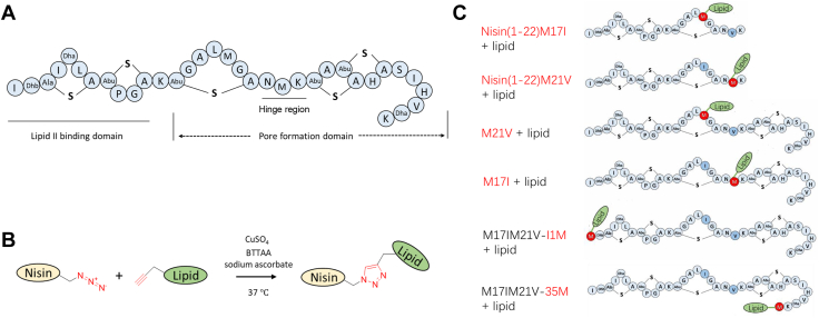 Figure 2