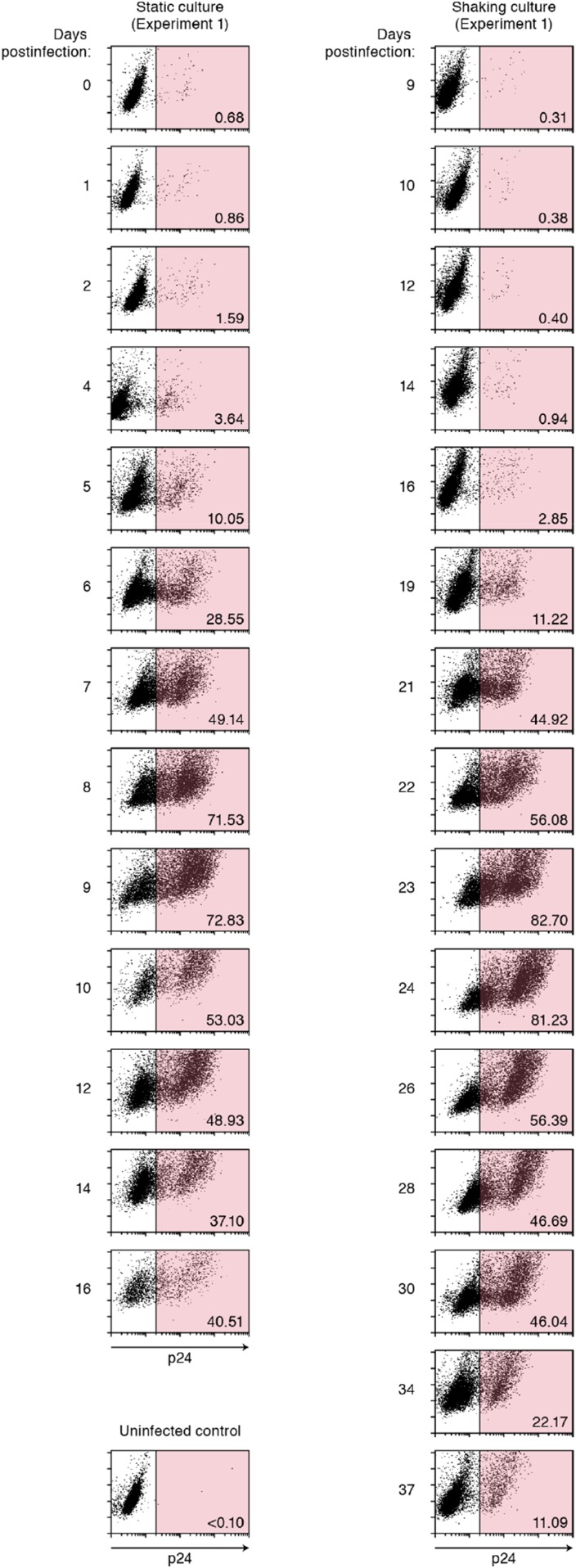 Figure 2—figure supplement 3.