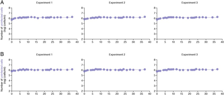 Figure 2—figure supplement 2.