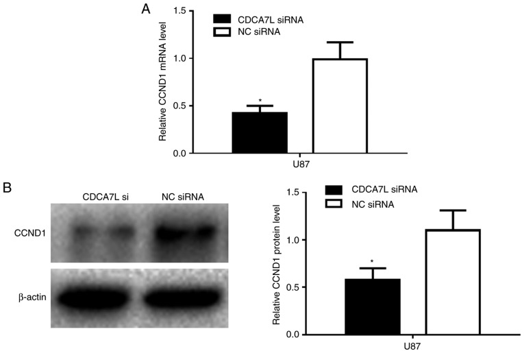 Figure 5.