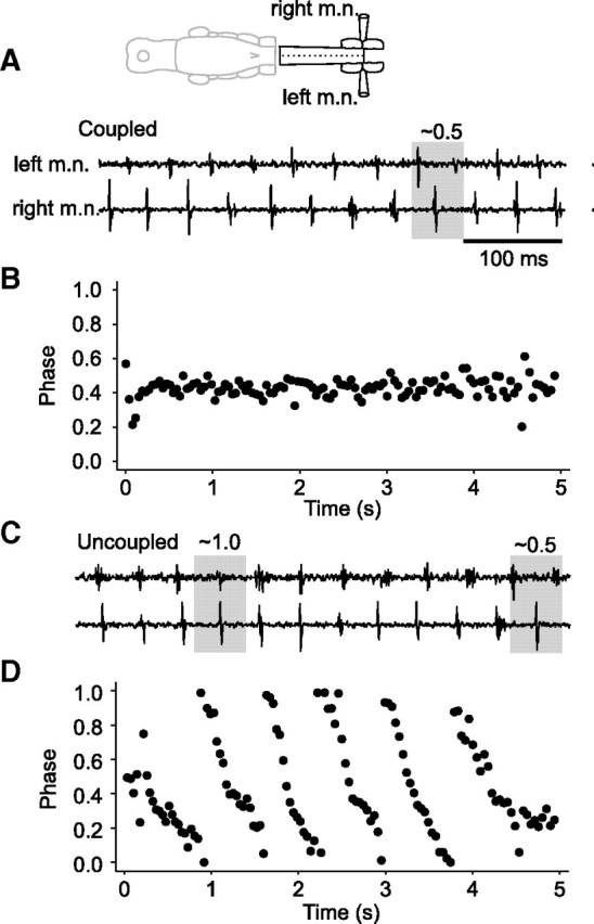 Figure 10.