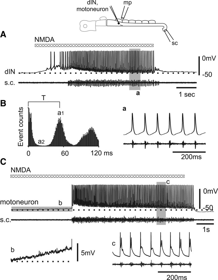 Figure 9.