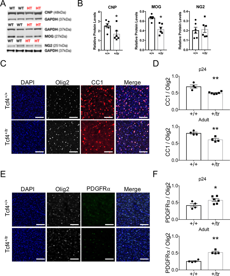 Figure 4: