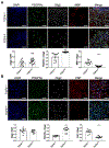 Extended Data Fig. 8