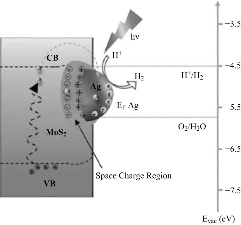 Fig. 11