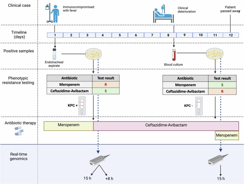 Fig. 2