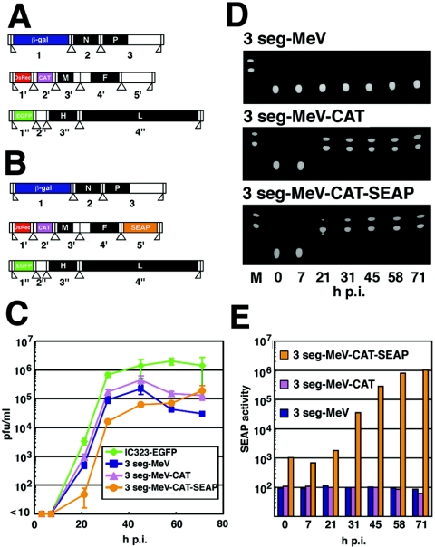 FIG. 4.