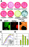 FIG. 2.