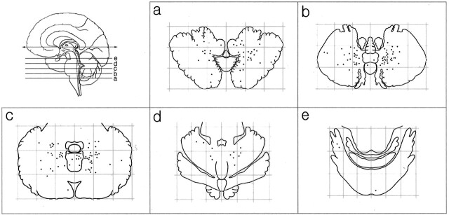 Fig 2.