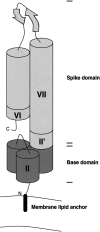 Fig. 5.
