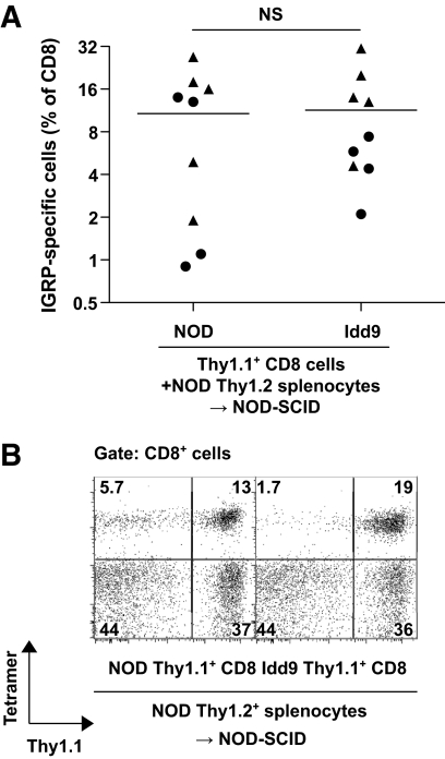 FIG. 5.