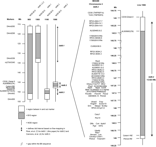 FIG. 1.