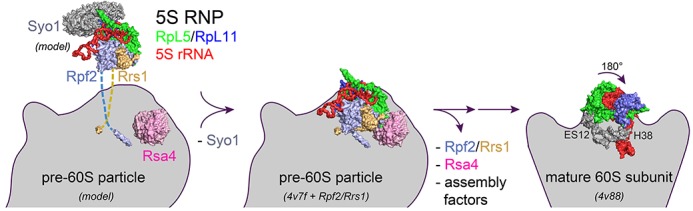 Figure 6.