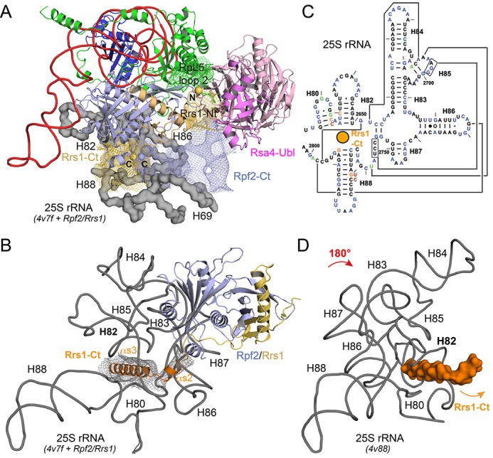 Figure 5.