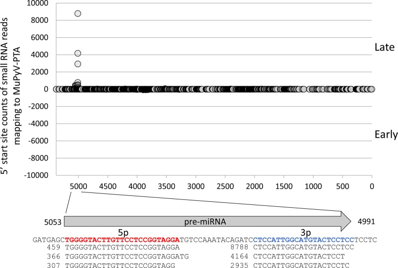 FIG 1