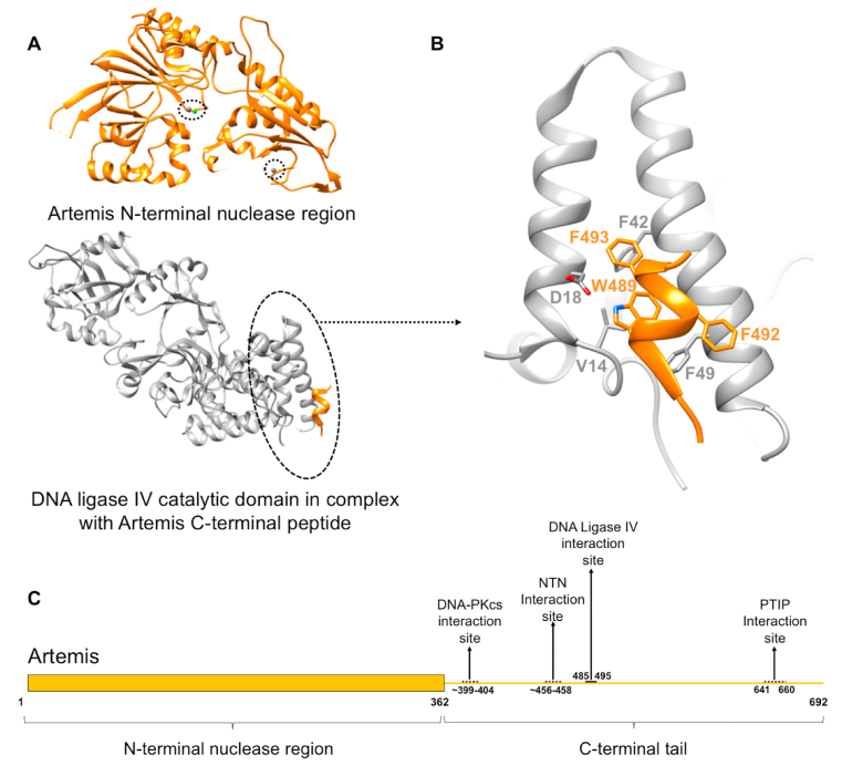 Fig. 6