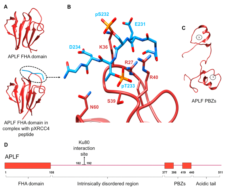 Fig. 7