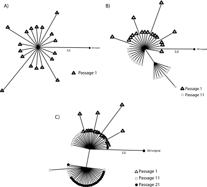 FIG. 10.