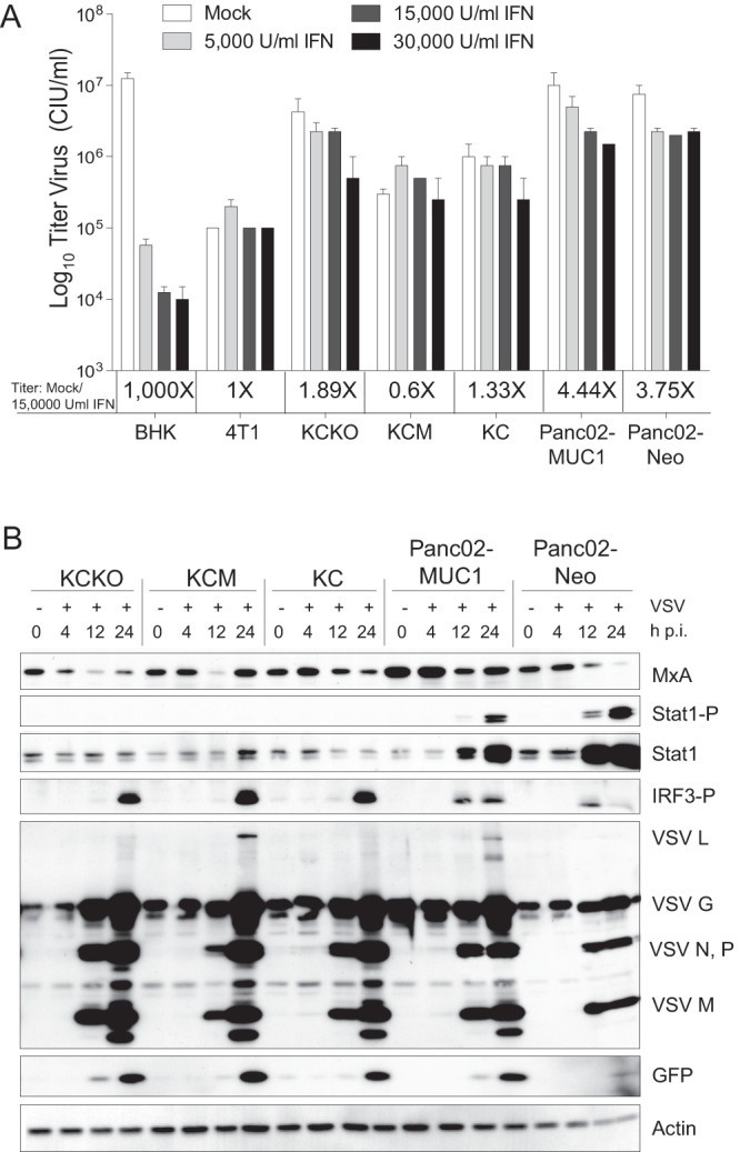 Fig 4