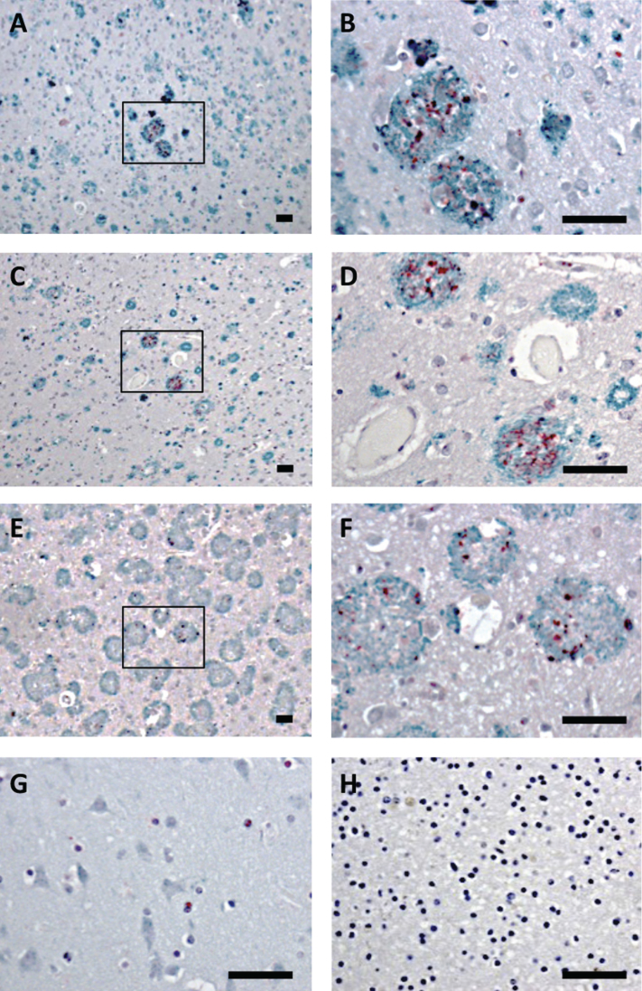 Fig.3